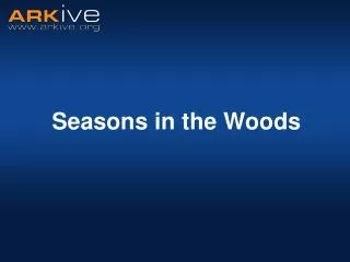 Seasons in the Woods