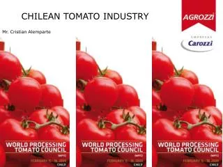 CHILEAN TOMATO INDUSTRY