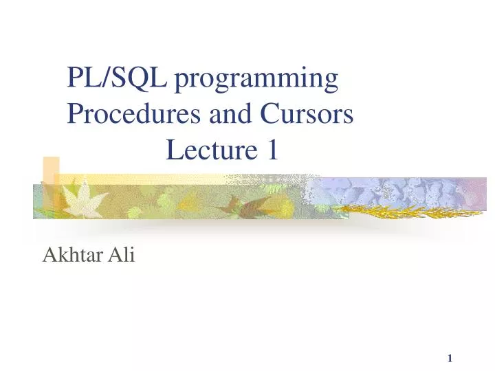 pl sql programming procedures and cursors lecture 1