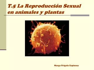 t 5 la reproducci n sexual en animales y plantas