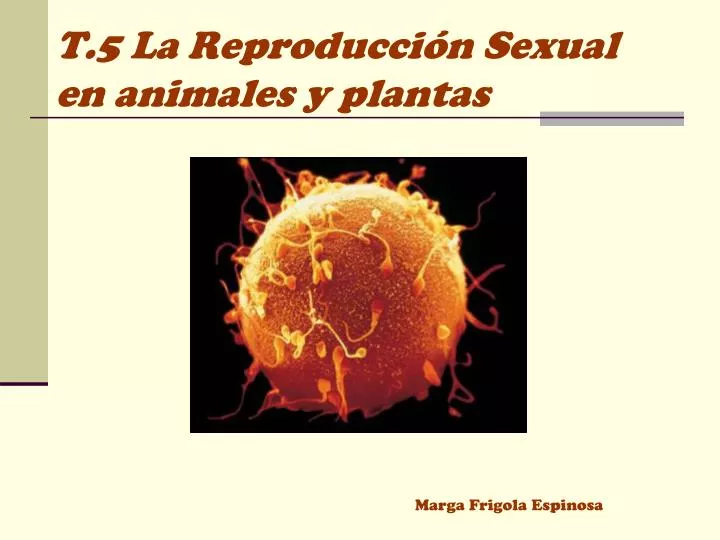 t 5 la reproducci n sexual en animales y plantas
