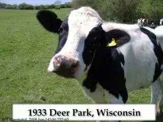 1933 Deer Park, Wisconsin