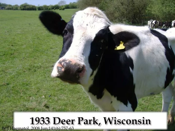 1933 deer park wisconsin