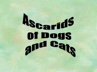 Ascarids of Dogs and Cats