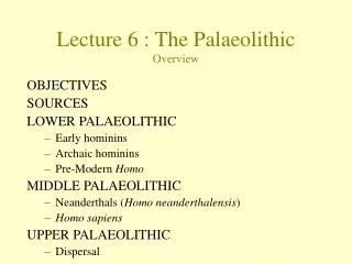 Lecture 6 : The Palaeolithic Overview