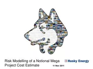 Risk Modelling of a Notional Mega Project Cost Estimate		 11 Nov 2011