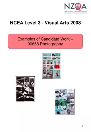NCEA Level 3 - Visual Arts 2008