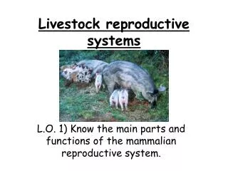 Livestock reproductive systems
