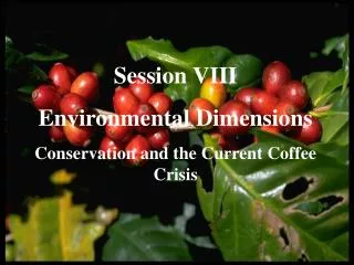 Session VIII Environmental Dimensions Conservation and the Current Coffee Crisis