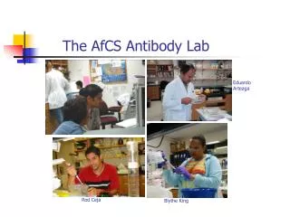 The AfCS Antibody Lab