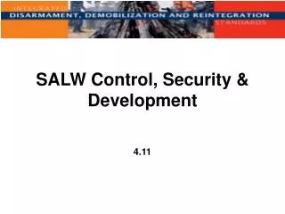 SALW Control, Security &amp; Development
