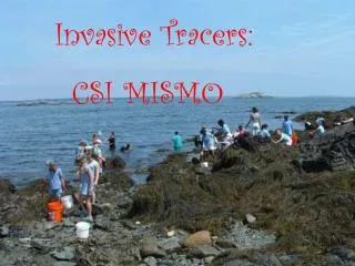 Invasive Tracers: CSI MISMO