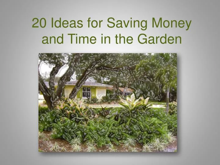 20 ideas for saving m oney and time in the garden