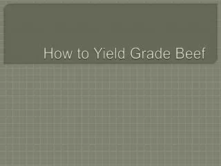How to Yield Grade Beef