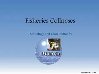 Fisheries Collapses
