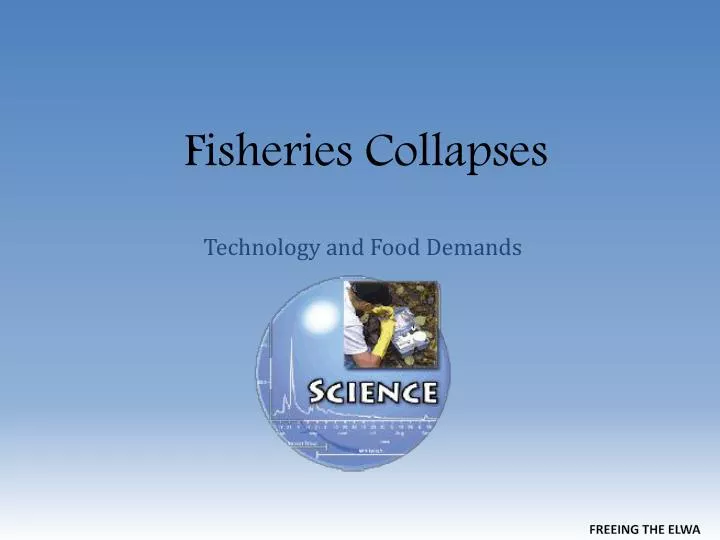 fisheries collapses