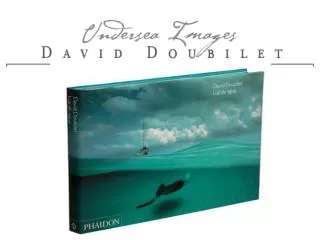 More than 15,000 people visited the Exhibition of Underwater Photography by David Doubilet in Lisbon in 2003. The exhib