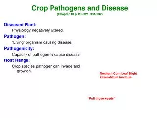 Crop Pathogens and Disease (Chapter 10 p.310-321, 331-332)
