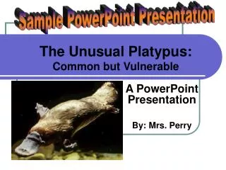 The Unusual Platypus: Common but Vulnerable