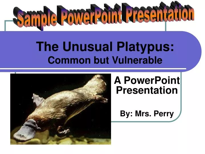 a powerpoint presentation by mrs perry