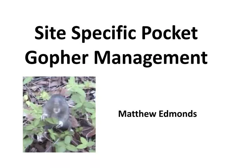 site specific pocket gopher management