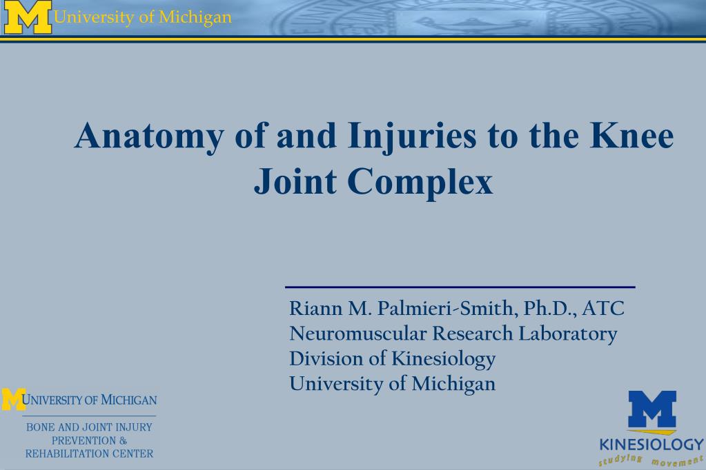 PPT - Anatomy of and Injuries to the Knee Joint Complex PowerPoint ...