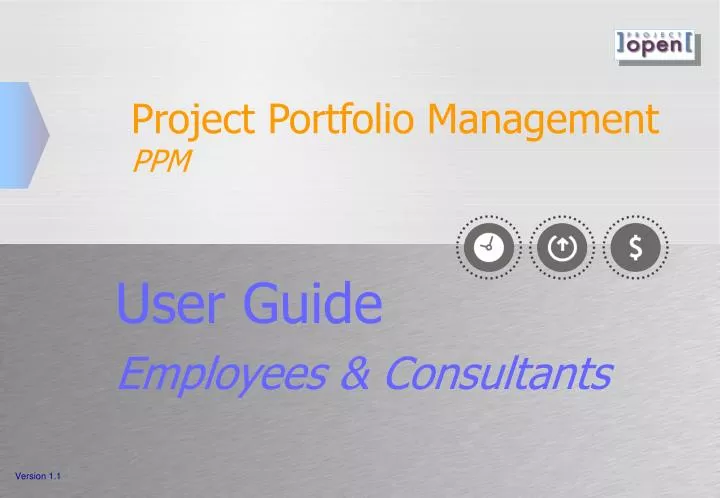 project portfolio management ppm