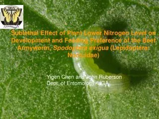 Sublethal Effect of Plant Lower Nitrogen Level on Development and Feeding Preference of the Beet Armyworm, Spodoptera e