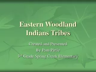 Eastern Woodland Indians Tribes