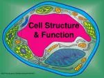 Cell Structure and Function: The Basics of Cellular Biology - slide 1