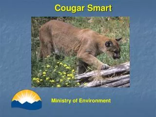 Cougar Smart