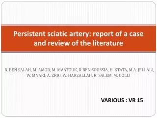 P ersistent sciatic artery: report of a case and review of the literature