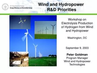 Workshop on Electrolysis Production of Hydrogen from Wind and Hydropower Washington, DC September 9, 2003 Peter Goldman