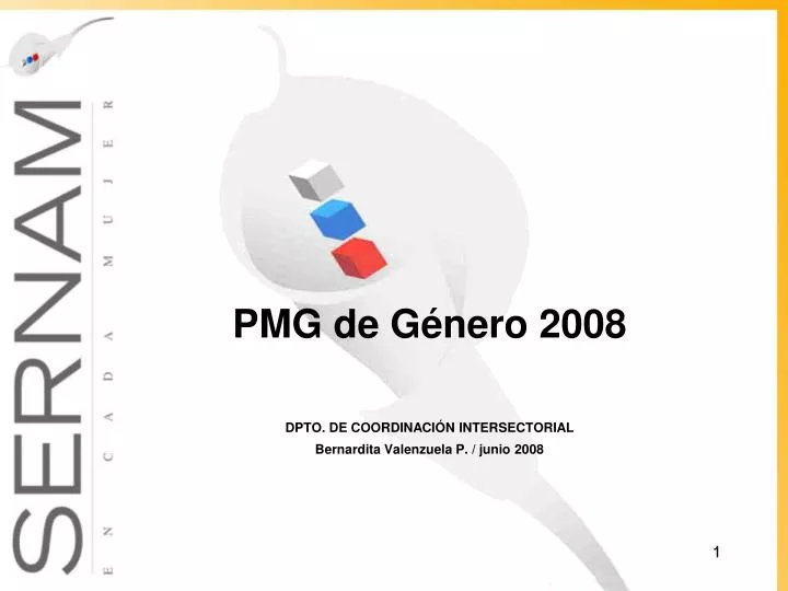 pmg de g nero 2008 dpto de coordinaci n intersectorial bernardita valenzuela p junio 2008