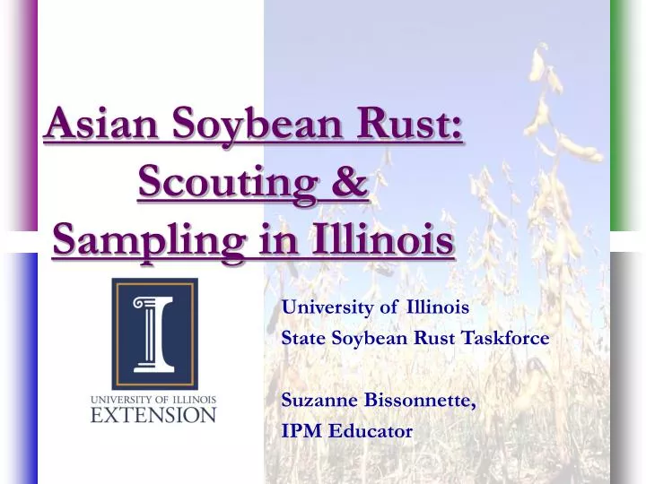asian soybean rust scouting sampling in illinois