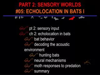 pt 2: sensory input ch 2: echolocation in bats bat behavior decoding the acoustic environment hunting bats neural m