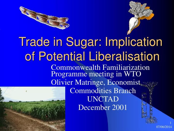trade in sugar implication of potential liberalisation