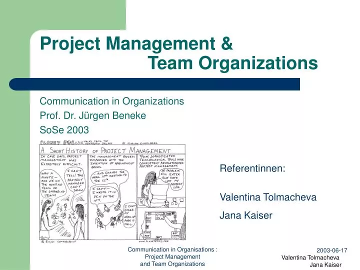 project management team organizations