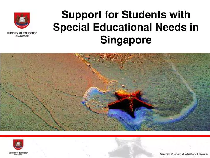support for students with special educational needs in singapore