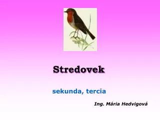 stredovek