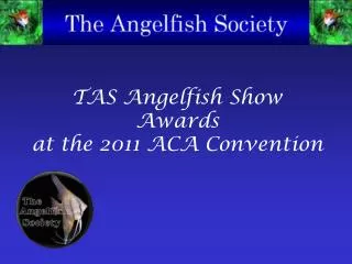 TAS Angelfish Show Awards at the 2011 ACA Convention