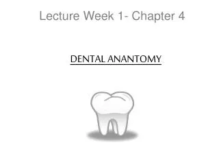 Lecture Week 1- Chapter 4