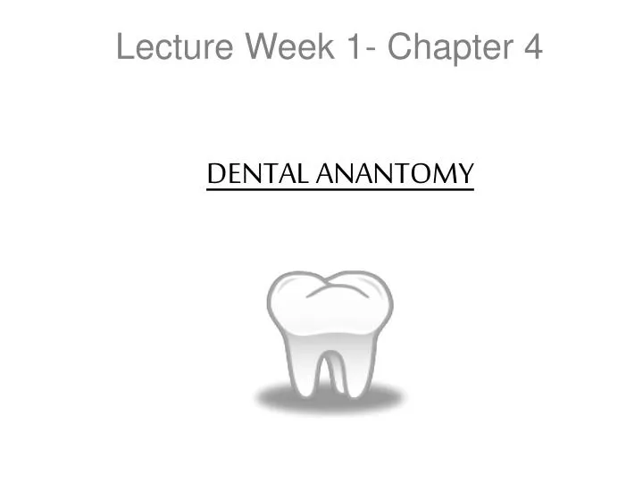 lecture week 1 chapter 4