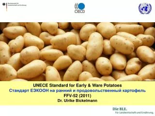 UNECE Standard for Early &amp; Ware Potatoes Стандарт ЕЭКООН на ранний и продовольственный картофель FFV-52 (2011) Dr.
