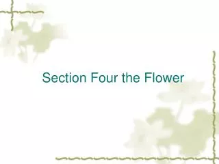 Section Four the Flower