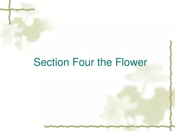 section four the flower