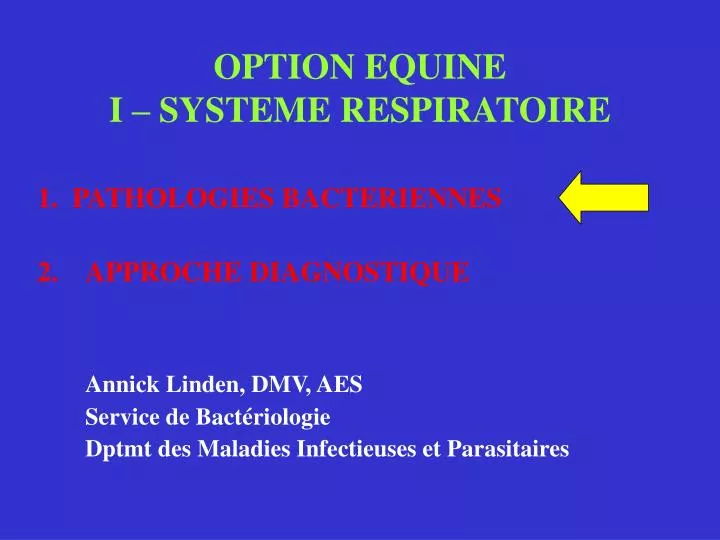 option equine i systeme respiratoire