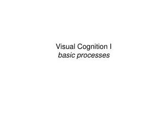 Visual Cognition I basic processes