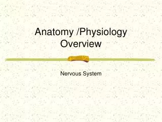 Anatomy /Physiology Overview
