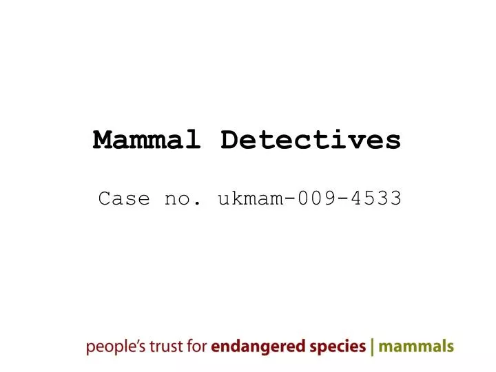 mammal detectives